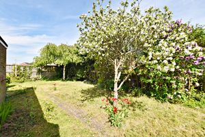 Photo 13- click for photo gallery